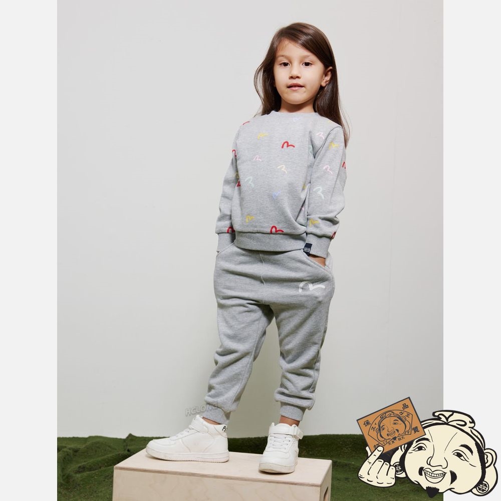 Kids Evisu ALLOVER SEAGULL PRINT SWEATSHIRT Grise | 578OICDYH