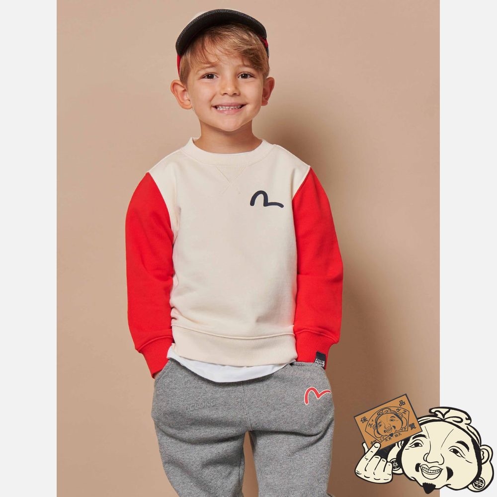 Kids Evisu GODHEAD PRINT COLOR-BLOCKING SWEATSHIRT Beige | 961DBJGAQ