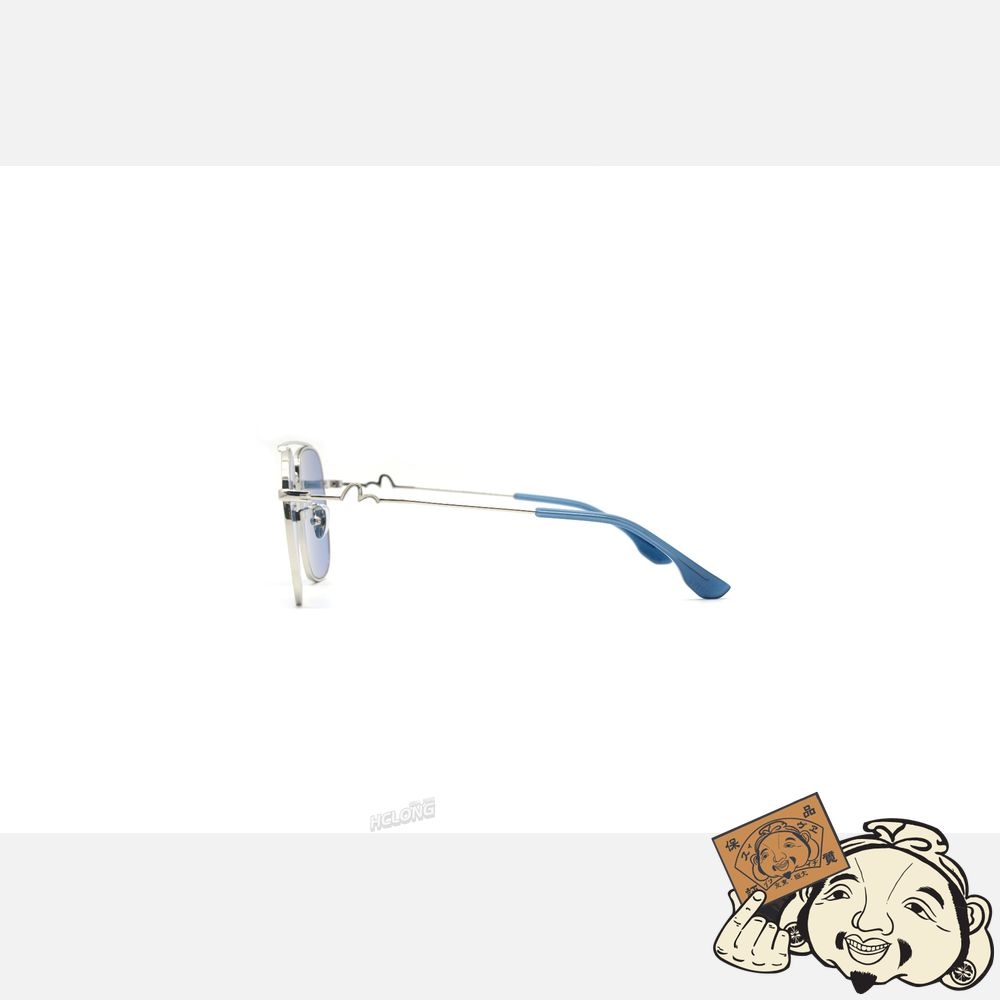 Men Evisu AVIATOR STYLE SUNGLASSES Bleu | 520OGHCKV