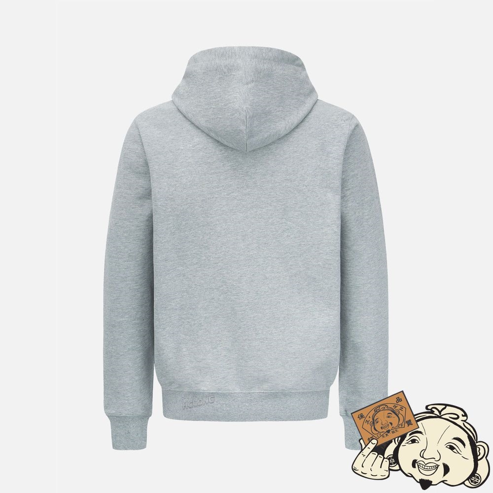 Men Evisu SEAGULL PRINT HOODED SWEATSHIRT Grise | 563QRNVAI