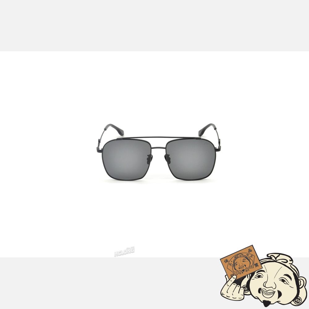 Women Evisu AVIATOR STYLE SUNGLASSES Noir | 459USIQWL