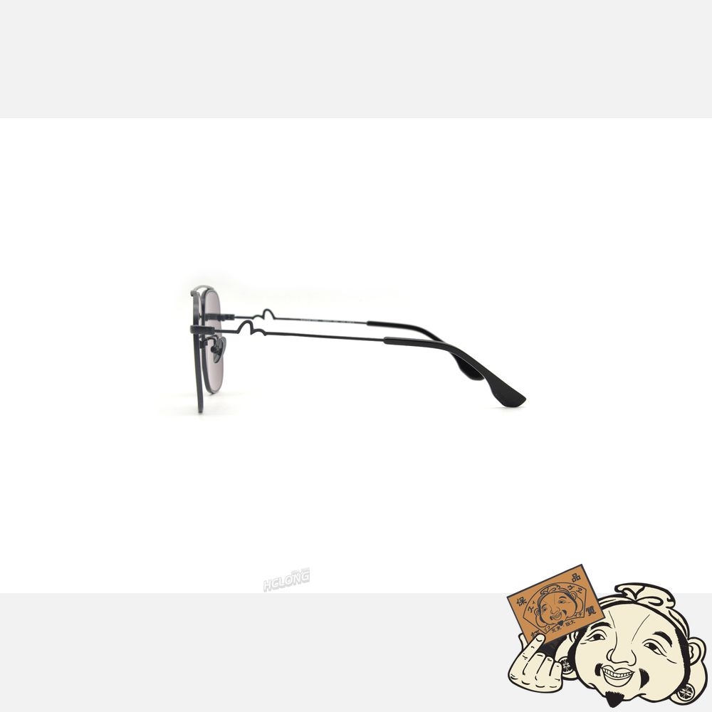 Women Evisu AVIATOR STYLE SUNGLASSES Noir | 459USIQWL