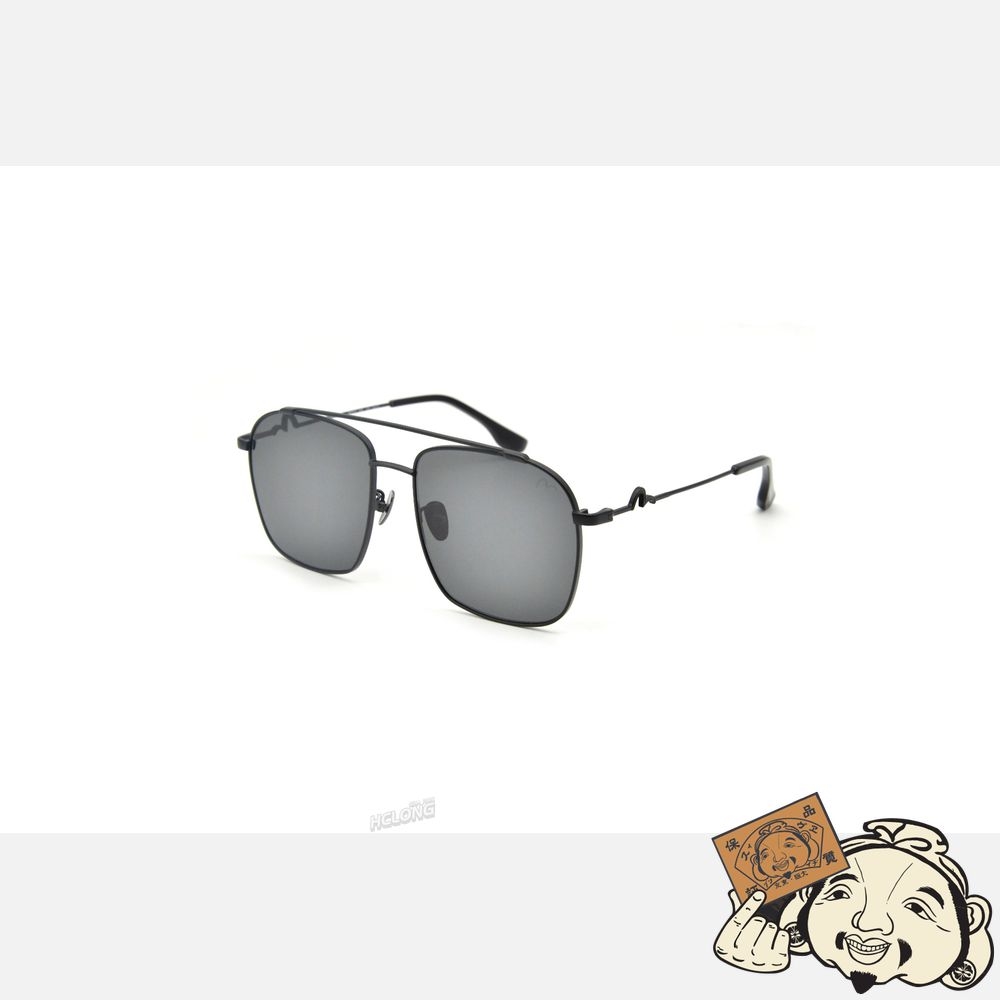 Women Evisu AVIATOR STYLE SUNGLASSES Noir | 459USIQWL