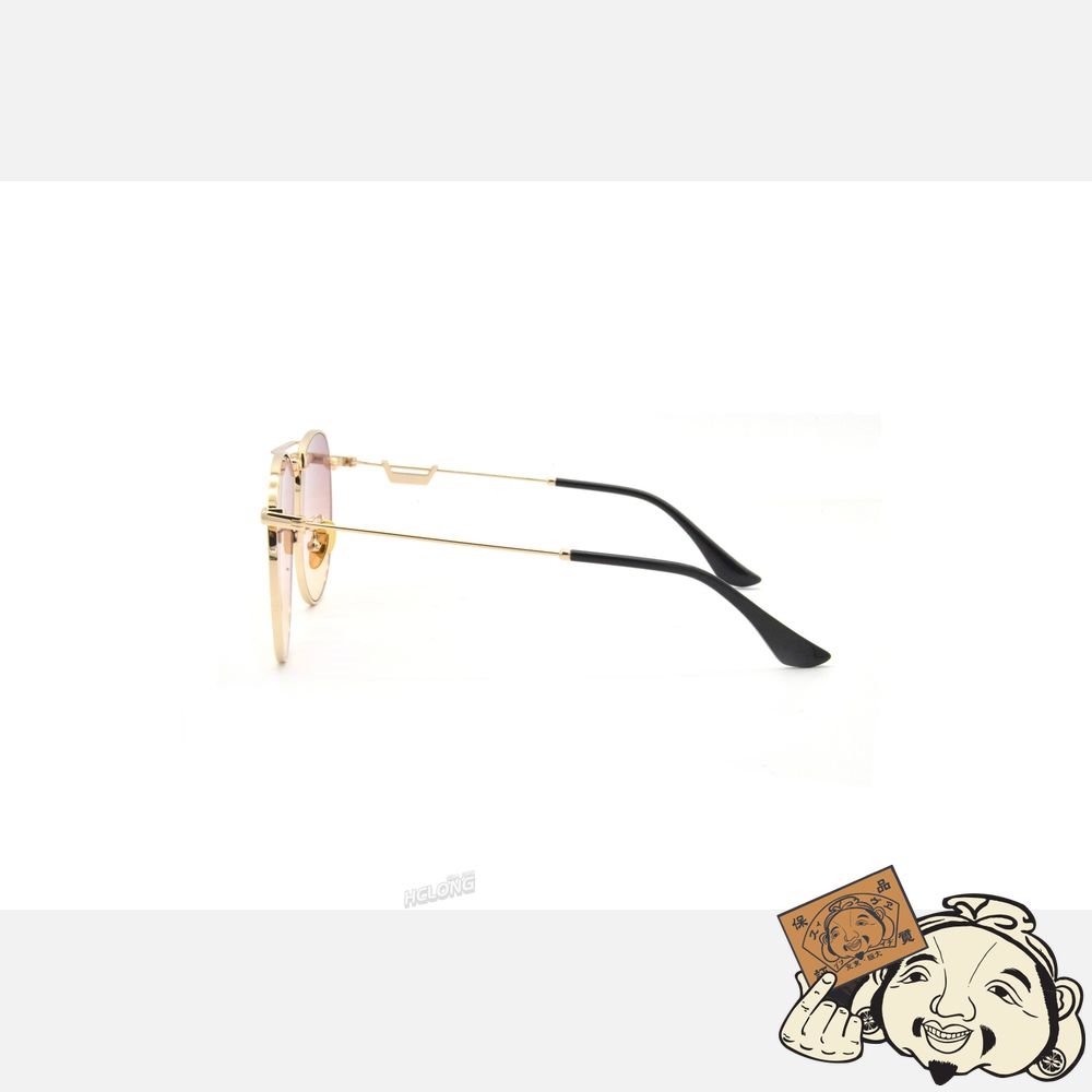 Women Evisu AVIATOR STYLE SUNGLASSES Rose | 463HZRBMN